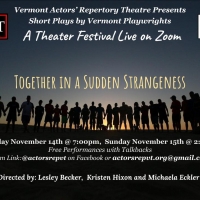 Vermont Actors' Repertory Theatre Presents November Zoom Play Festival TOGETHER IN A  Photo