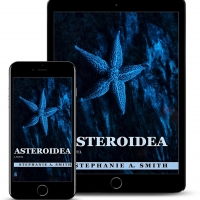 Stephanie A. Smith Releases New Literary Novel ASTEROIDEA Video