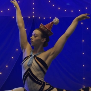 Video: Meet The Cast of WATER FOR ELEPHANTS on Tour Photo