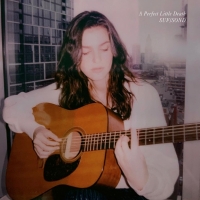 Student Blog: When Sondheim Meets Sufjan: A Review of SUF/SOND's Album, 'A Perfect…