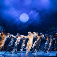 Jellicle CATS Come to Saenger Theatre Next Week Photo