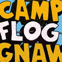 Tyler the Creator, Solange, YG, Juice WRLD Will Headline Camp Flog Gnaw Carnival Photo