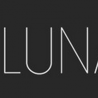 Luna Stage Launches Virtual Solo Show Creation Workshop Photo