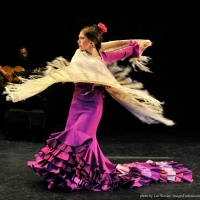 A PALO SECO Will Bring Family-Friendly Flamenco To Flushing Town Hall in May Video