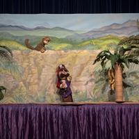 THE MONKEY AND THE PIRATE Comes to the Great AZ Puppet Theater Photo