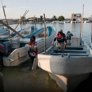 South Street Seaport Museum to Present CLIMATE FILM FESTIVAL Screenings Photo