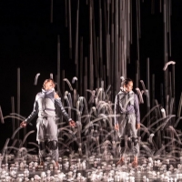 La Final Del Premio Nacional De Danza Guillermo Arriaga 2021 Se Realizará En El Pala Video