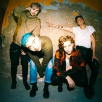 5 Seconds Of Summer Shares Video For New Single 'Wildflower' Photo