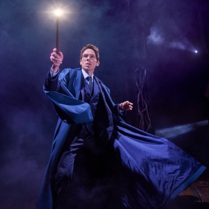 HARRY POTTER AND THE CURSED CHILD Sets 2024 House Pride Nights Video