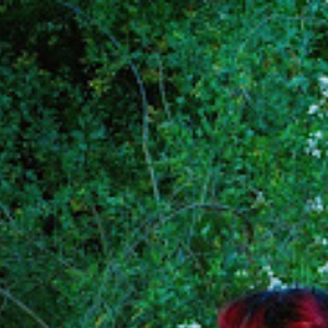 THE LINDA LINDAS Share BLOOD ON OUR HANDS, Set Fall Tour From Sept 16 Photo