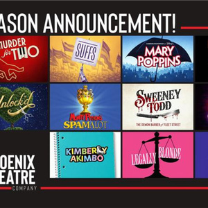 Pre-Broadway STAGE MOTHER and UNLOCK'D and More Set for Phoenix Theatre Company 107th Video