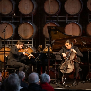 Kate Suthers Announced As New Coriole Music Festival Artistic Director Photo