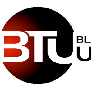 Black Theatre United to Present New Installment of THE BUSINESS OF SHOW Series With M Video