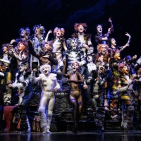 Review: CATS at Minneapolis' Orpheum Theater Photo