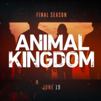 TNT Announces ANIMAL KINGDOM Sixth & Final Season Premiere Date Photo