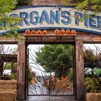Morgan's Pier to Present Fall Fest on the Waterfront with Pumpkin Carving, Fall Decor Photo