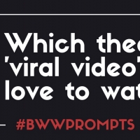 BWW Prompts: Share A Favorite Viral Theater Video! Photo