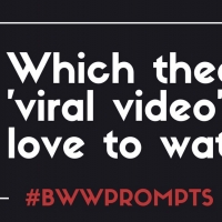 BWW Prompts: Share A Favorite Viral Theater Video!