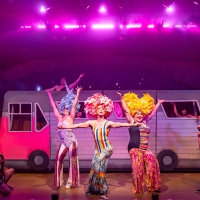  REVIEW: A Magical PRISCILLA QUEEN OF THE DESERT at Mercury Theater Chicago Interview