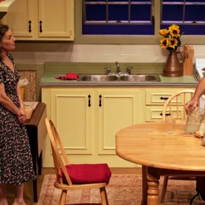 BWW Review: Luminous Production of FIREFLIES Opens Good Theater Season