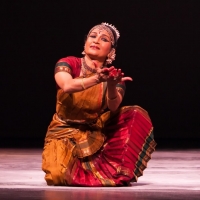 Twin Cities Dance Productions Move Outdoors This Summer