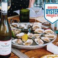 Villa Maria Announces Corporate Sponsorship of NYC's Billion Oyster Project Photo
