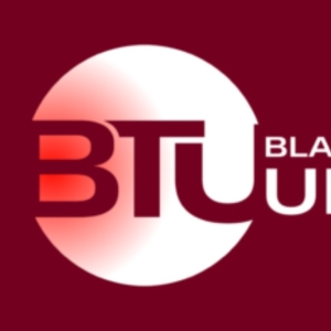 Black Theatre United Announces Fourth Broadway Marketing Internship Program Photo