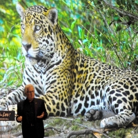 Alberta Bair Theater Kicks Off Nat Geo Speaker Series With ON THE TRAIL OF BIG CATS W