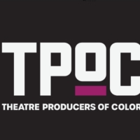 Theatre Producers Of Color Presents The Annual 'Producing 101' Program Photo