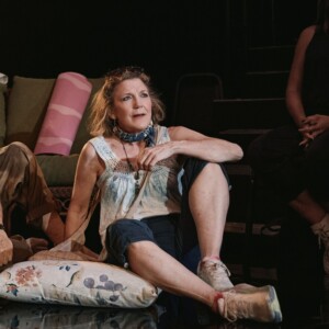 Video: Victoria Clark Is Finding the Humanity in HUMAN THINGS Photo