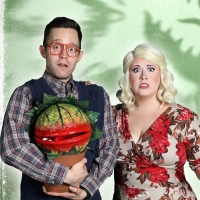 BWW Review: Charming and fun LITTLE SHOP OF HORRORS takes over Centre Stage