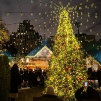 TAVERN ON THE GREEN Hosts 5th Annual Tree Lighting Celebration in Central Park on Tue Photo
