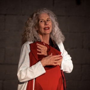 Vivienne Powells DIVA to Make Edinburgh Festival Fringe Debut This Summer Photo