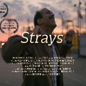 STRAYS To Premiere As Part of New York Shorts International Film Festival Photo