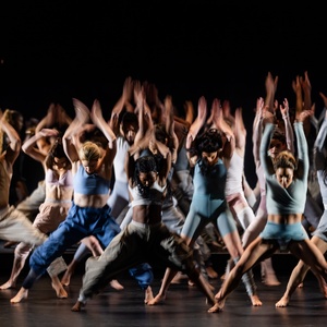 Review Roundup: BLACK SWAN Opens at American Repertory Theater Photo