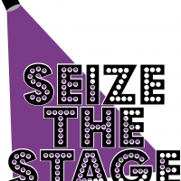 Seize The Stage: A Musical Revue Will Benefit The Epilepsy Foundation Of Greater Chic Photo