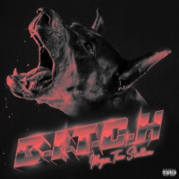 Megan Thee Stallion Unleashes New Track 'B.I.T.C.H'   ​ ﻿ 