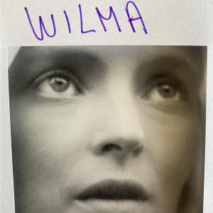 Daniele Luppi to Release New Album WILMA with Michael Kiwanuka, Orion Sun Photo