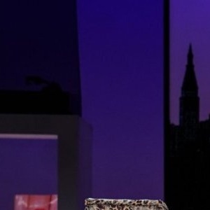 Review: CANDACE BUSHNELL: TRUE TALES OF SEX, SUCCESS, AND SEX AND THE CITY at Reynold Photo