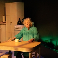 BWW Review: THE FOREST at NJ Rep Brilliantly Portrays the Complex Subject of Dementia Photo