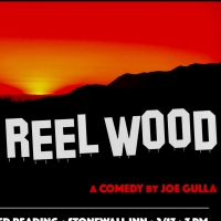 Joe Gulla's REEL WOOD Reading to Take Place At Stonewall Inn This Thursday Photo