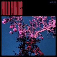 Mild Minds Unveils New Single 'WALLS' and Announces New Album MOOD Photo