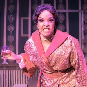 Review: Colin Healy's MADAM Looks at the Seedier Side of St. Louis in the 19th Centur Photo