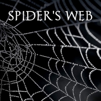 Shannon Condon Promotes Crime Thriller SPIDER'S WEB