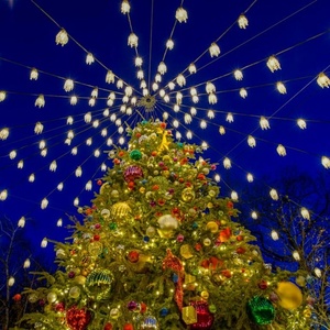 TAVERN ON THE GREEN-The Annual Christmas Tree Lighting on 12/2 Photo