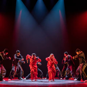 Review: ZOONATION YOUTH COMPANY, Royal Ballet And Opera