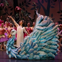 New Ballet Brings THE SAN JOSE NUTCRACKER Home For The Holidays Photo