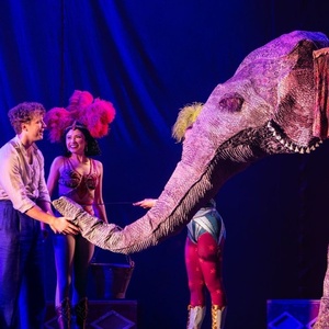 Review: WATER FOR ELEPHANTS at Ohio Theatre - A Spectacle in Search of a Soul Photo