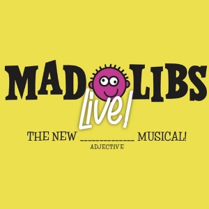 Sears Studio To Perform Regional Debut Of MAD LIBS LIVE! at Fort Myers Kids Fringe Fe Photo