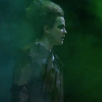 VIDEO: Watch a Trailer For Stratford Festival's THE TEMPEST, Streaming May 14 to June 4